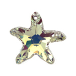 Starfish 6721