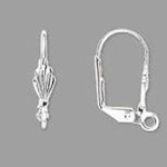 Ear Wire and Clips