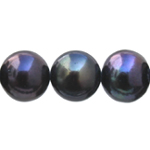 Freshwater Pearls - Round Shape Peacock