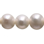 Freshwater Pearls A+ Round Ivory 4-5 mm 1string Freshwater Pearls A+ Round Ivory 4-5 mm 1string