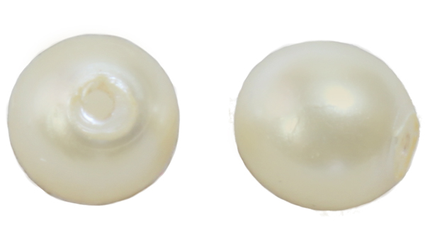132 14001 Half Drilled Ivory 4mm 20pcs