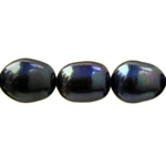 Freshwater Pearls AA Rice Petrol 7mm 1string