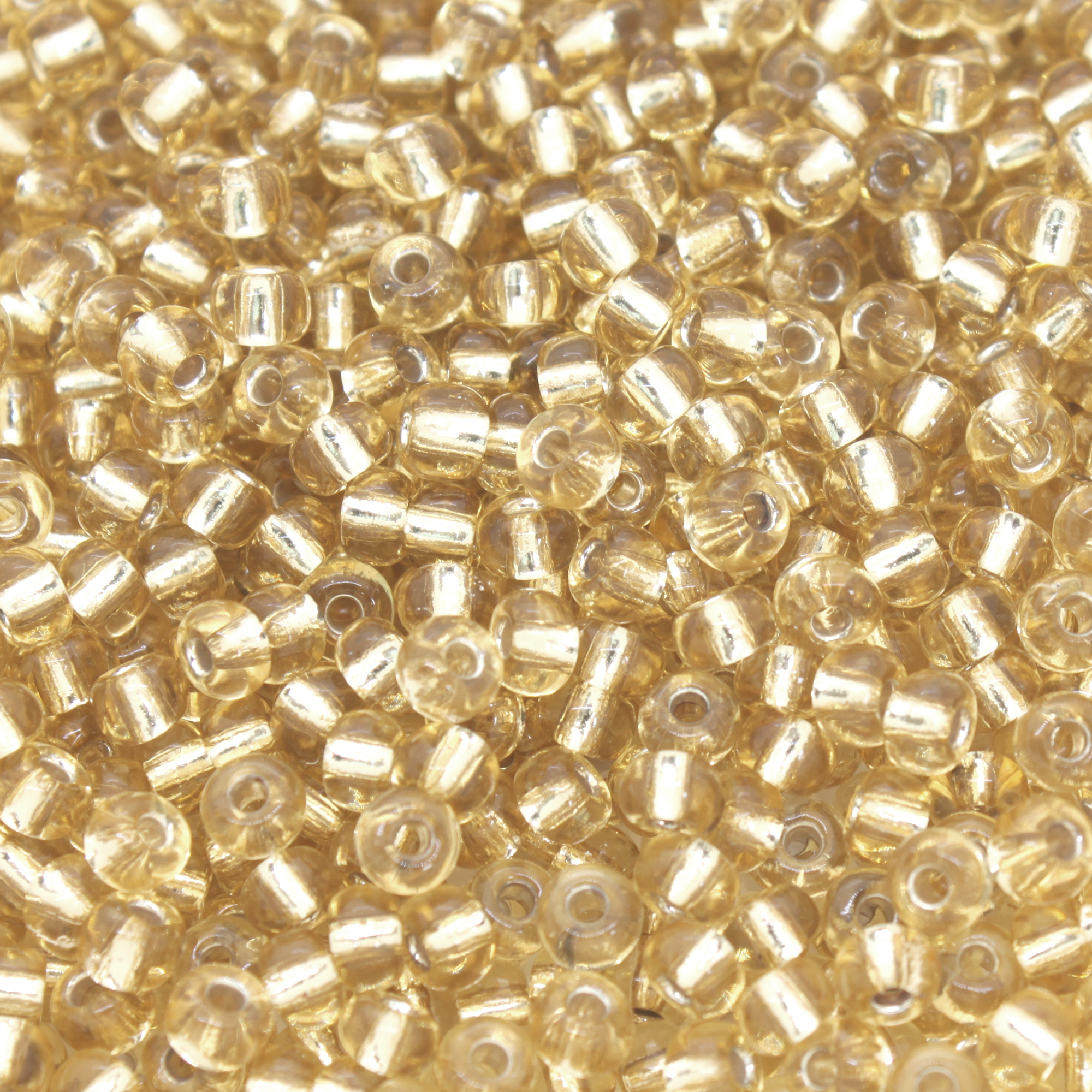 RSeed Bd cz NTS 002 size 6 50grams